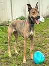 CHUPEY - Photo 1