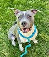 *LOUIE - Photo 1