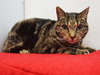 FIONA - Photo 1