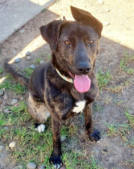*JANUARY