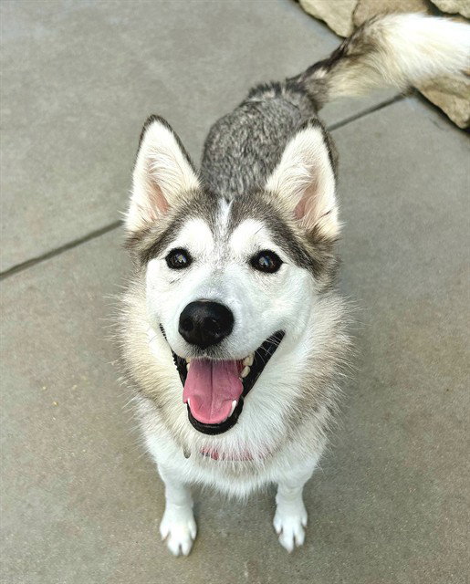 LILO