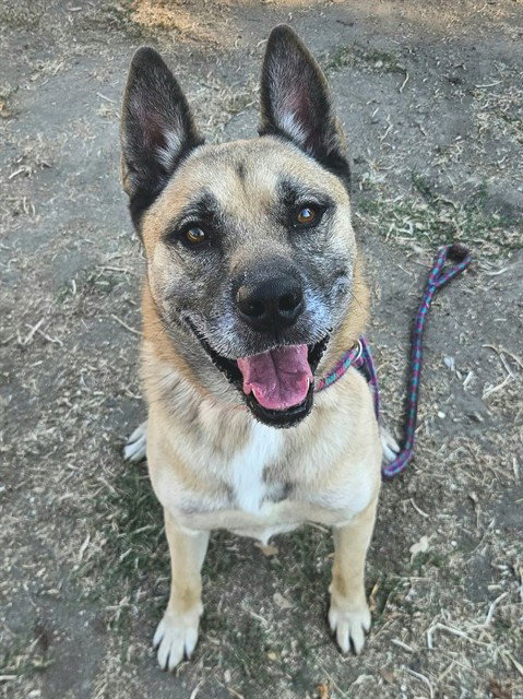 DUKE