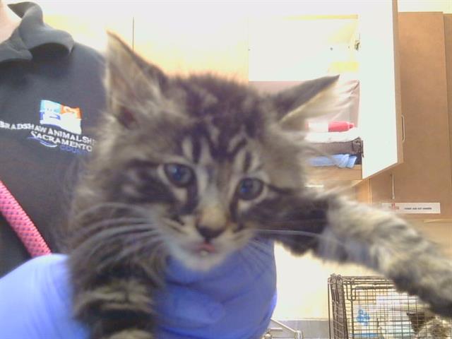 Norbert
