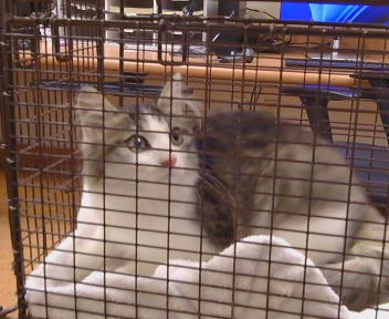 Unknown