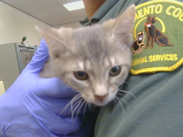 Oliver