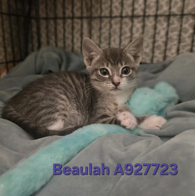 Beaulah