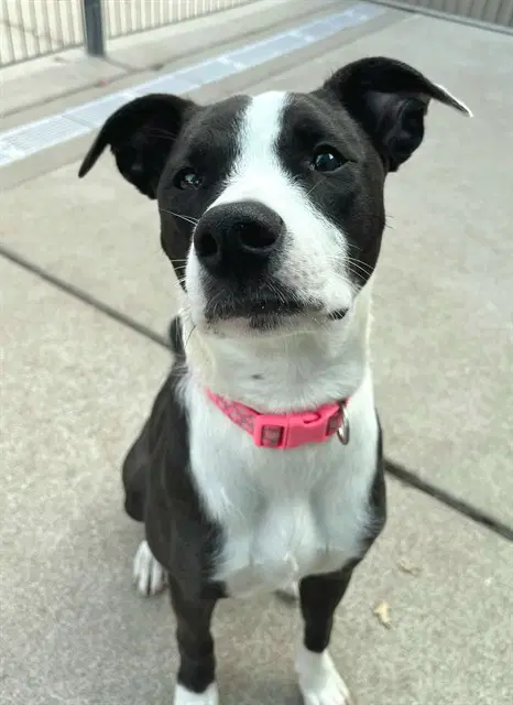 Max image 1