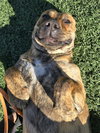BELLA - Photo 1