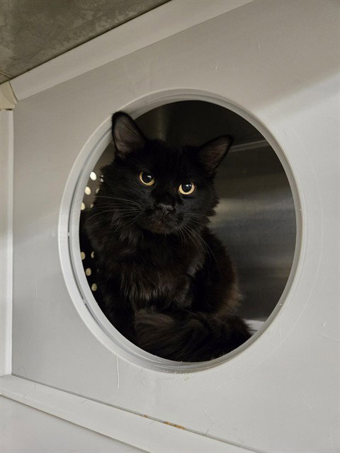 SPOOKY