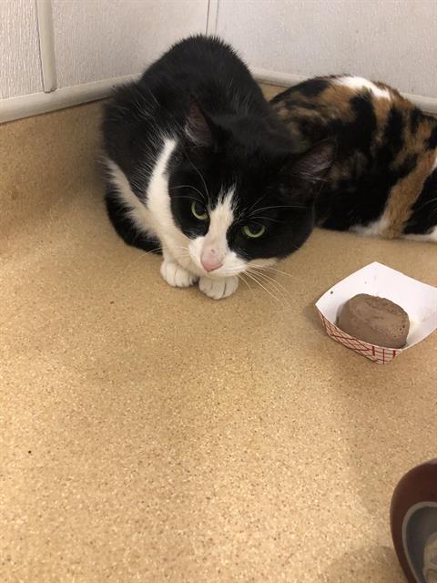 OREO