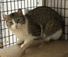 TNR-SPICE - Photo 1