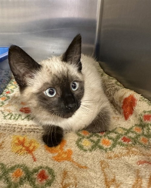LUNA