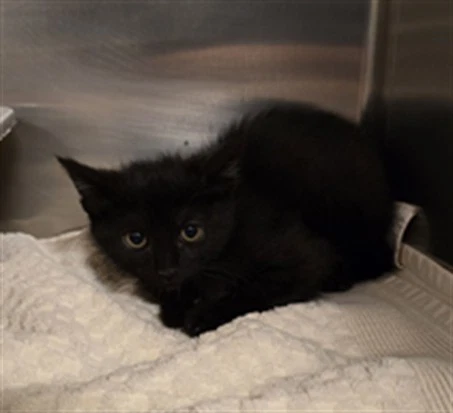 Grace