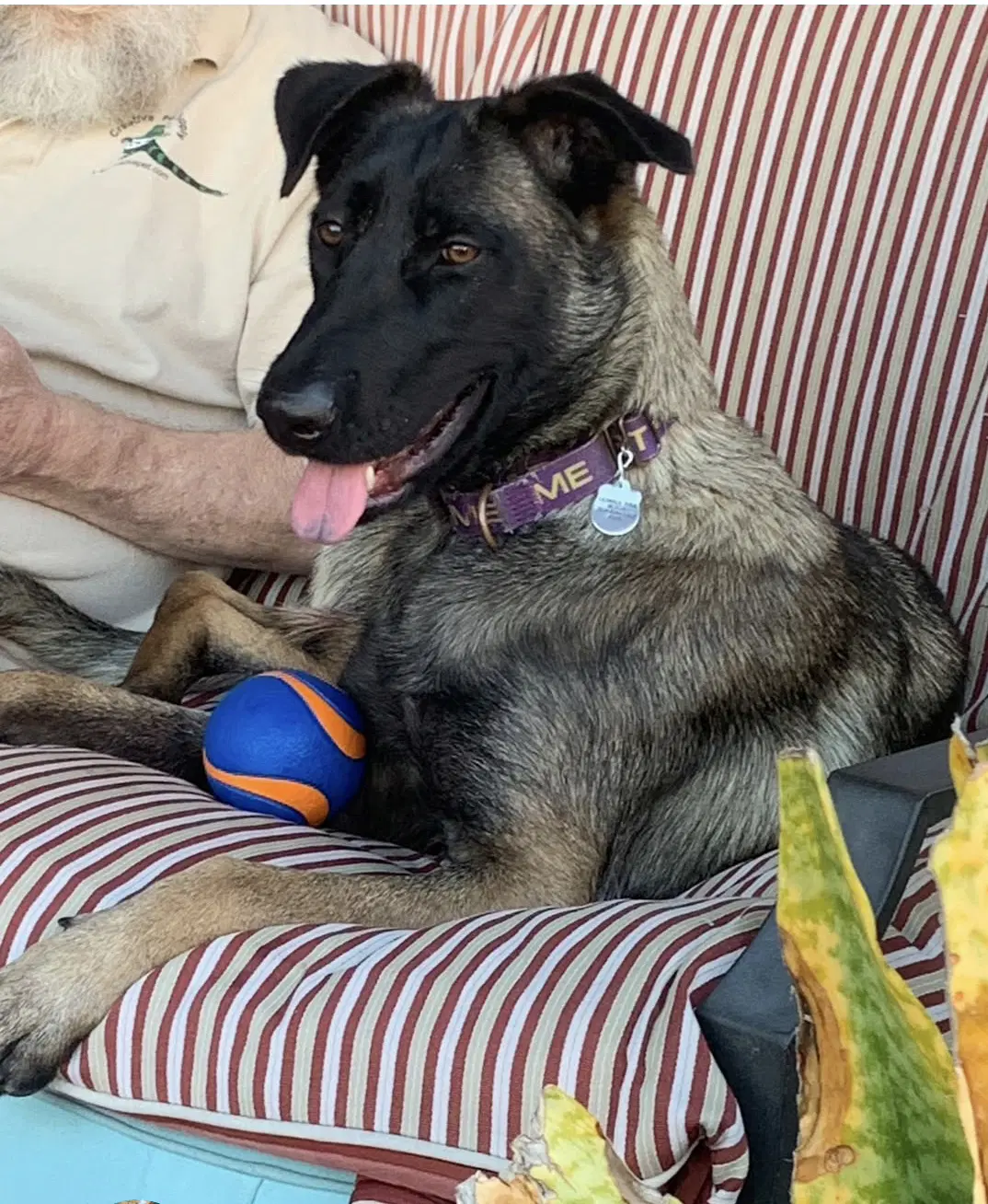 Kika image 2