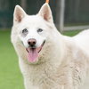 LUNA - Photo 1