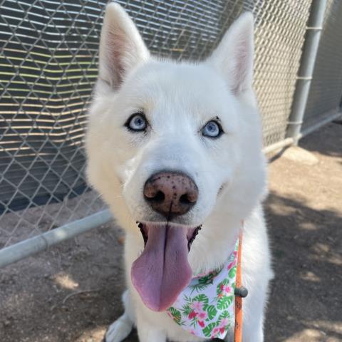 LUNA