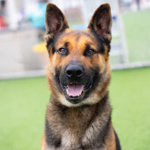 Max