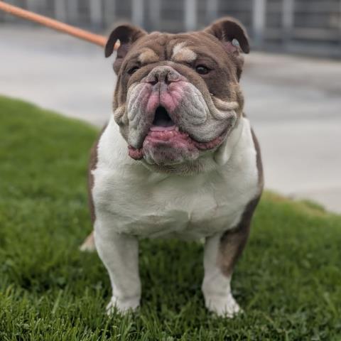 BUSTER