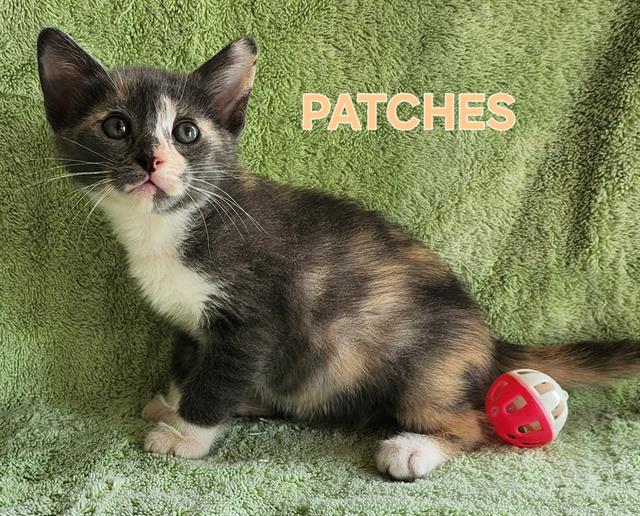 Patches