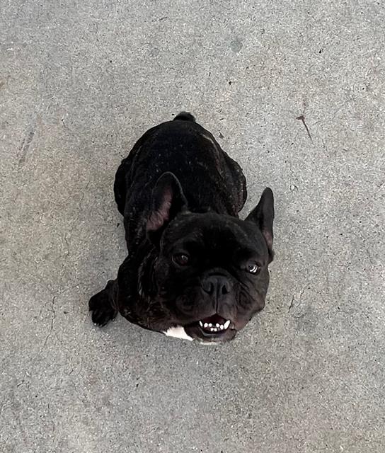 Nina