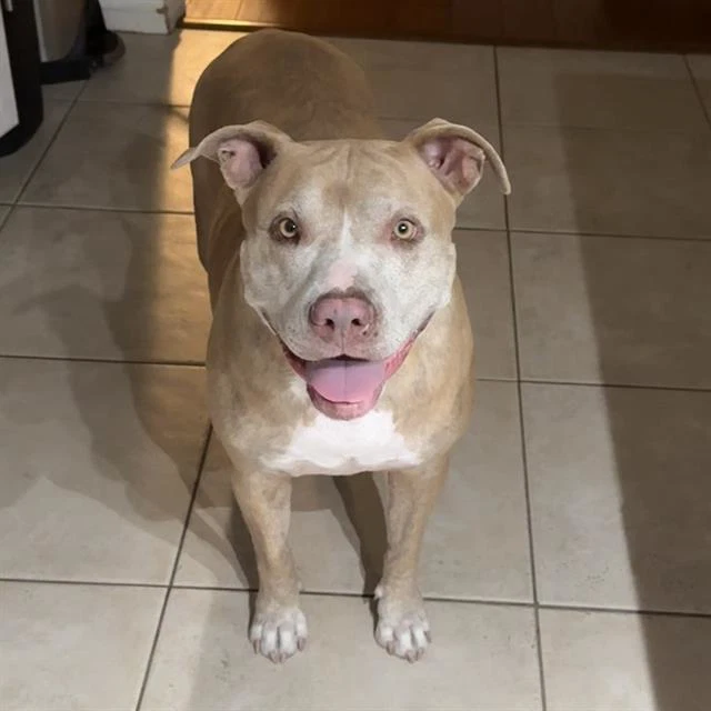 Millie
