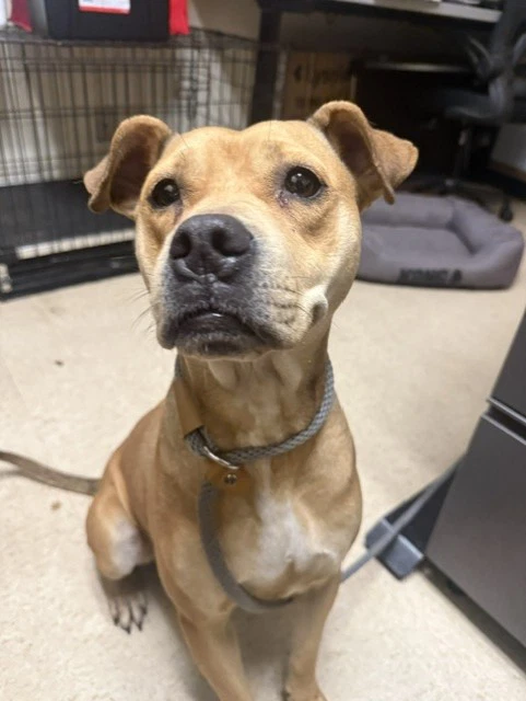 Max