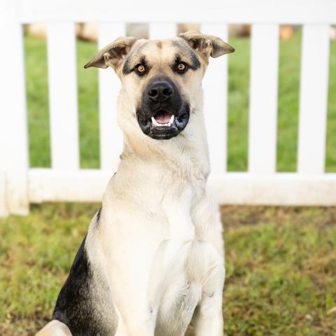 Max
