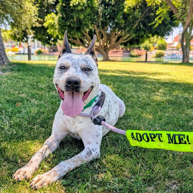 MARTY