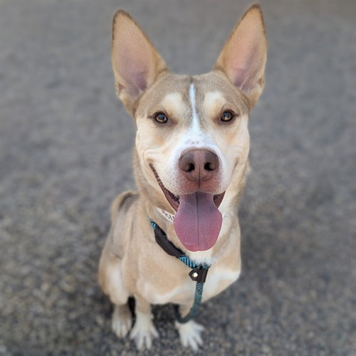 BENNY