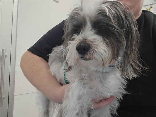 OREO