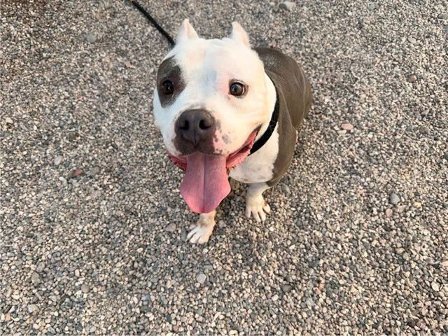 Coco