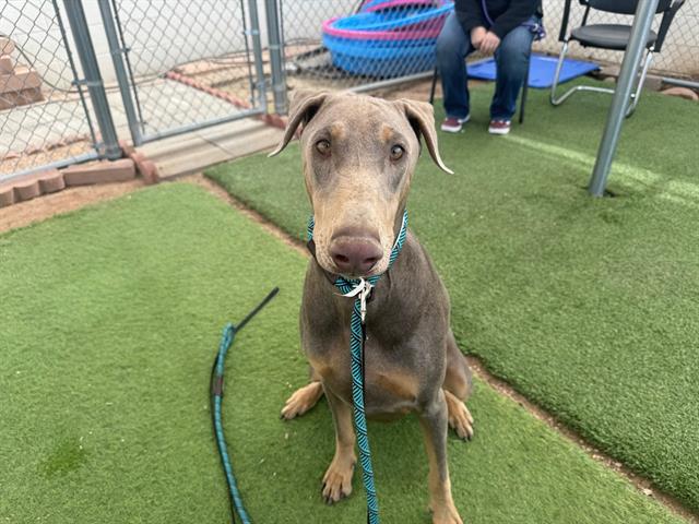 Jax