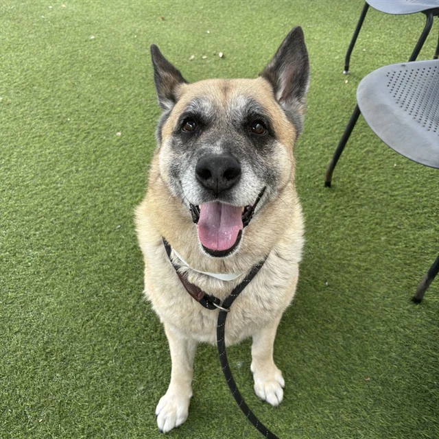 Sam
