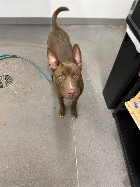 Ernie image 1