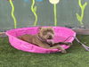 adoptable Dog in Van Nuys, CA named DOZER
