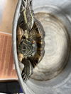 adoptable Turtle in  named DOO