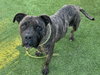 ETHEL - Photo 1