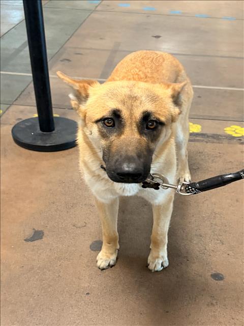 NALA Image