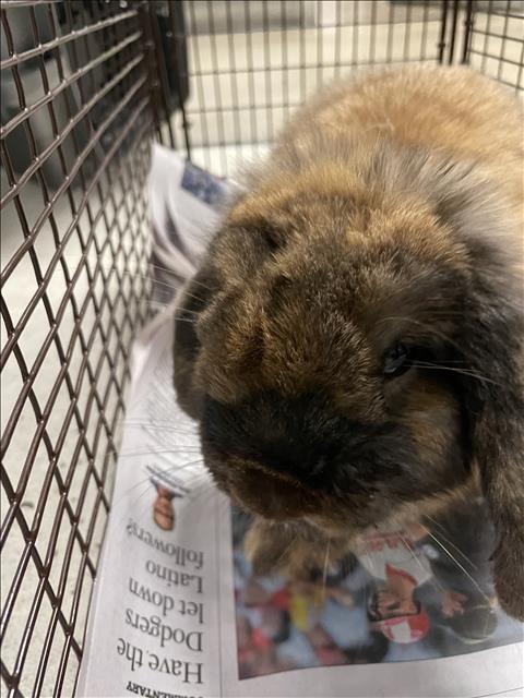BENNY