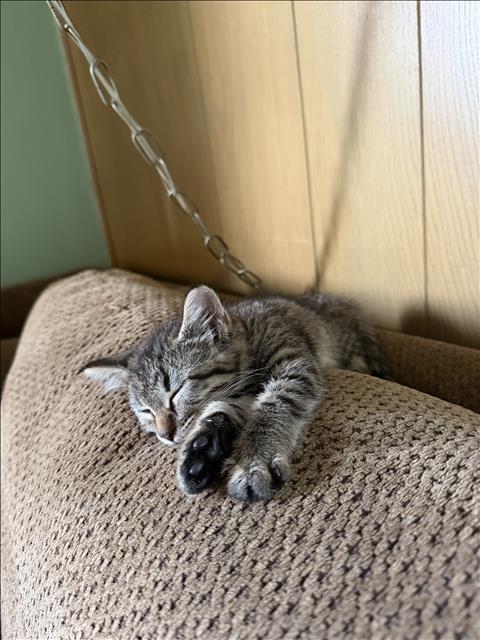 TINY