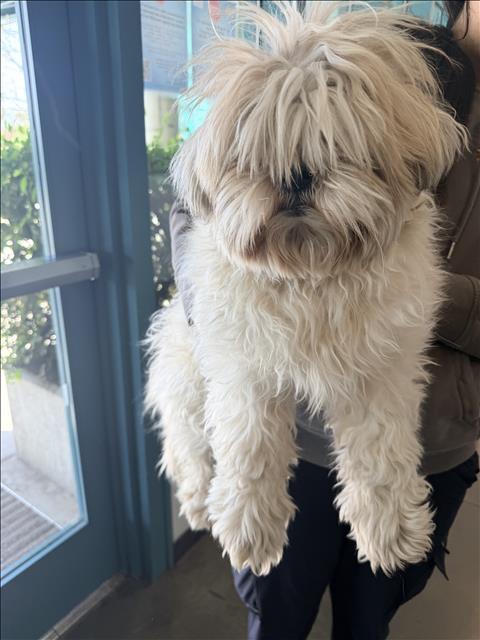 Bella