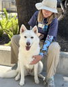 adoptable Dog in San Pedro, CA named NATALIE