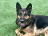 BRONNY - Photo 1