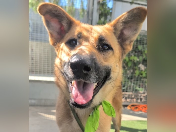 BENNY