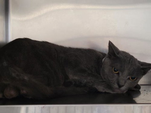 A2282612