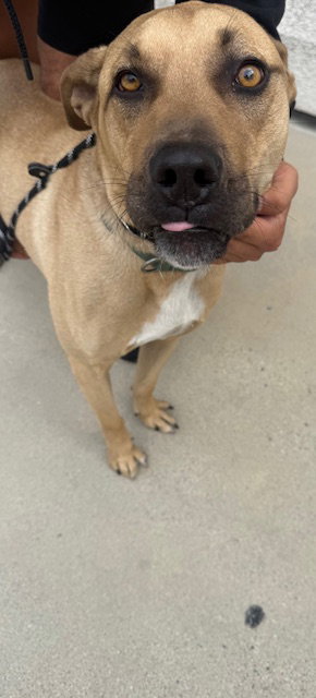 Max