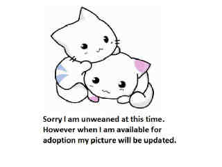 Tilly