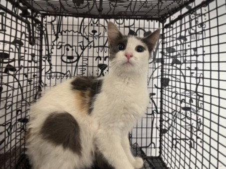 Delilah