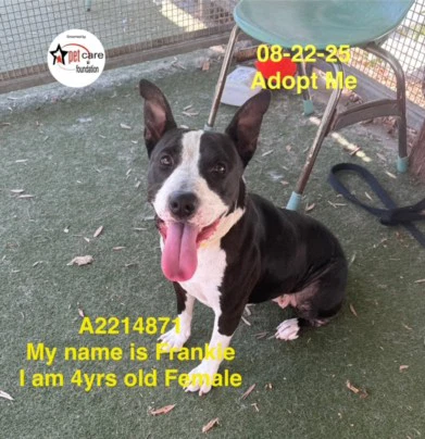Frankie
