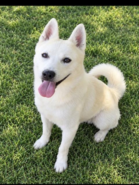 CYRUS